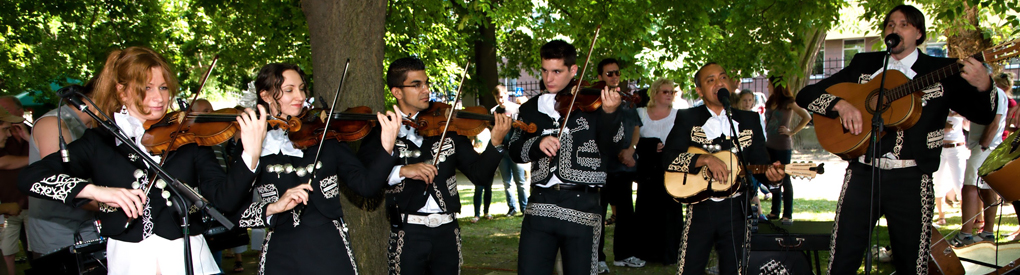 Slideshow Image 4